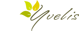 Yvelis logo