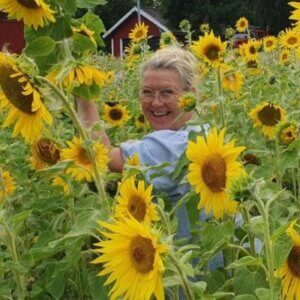 Anne-Marie Eriksén