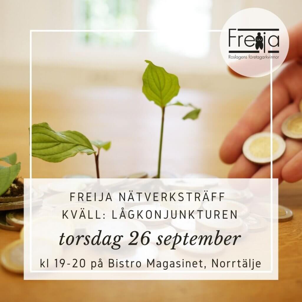 FREIJA NÄTVERKSTRÄFF - Lågkonukturen, torsdag 26 september kl 19-20 på Bistro Magasinet, Norrtälje