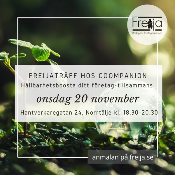 Freijaträff hos Coompanion. Hållbarhetsboosta ditt företag - tillsammans!. Onsdag 20 november 2014 på Hantverkaregatan 24, Norrtälje kl. 18.30-20.30